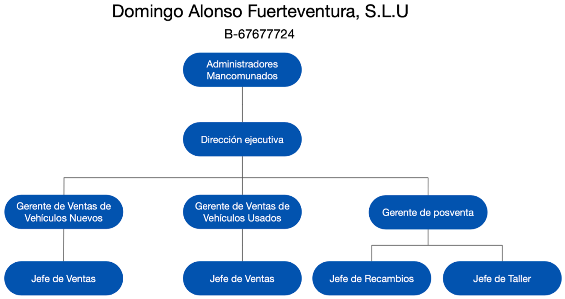 Organigrama DAG Fuerteventura