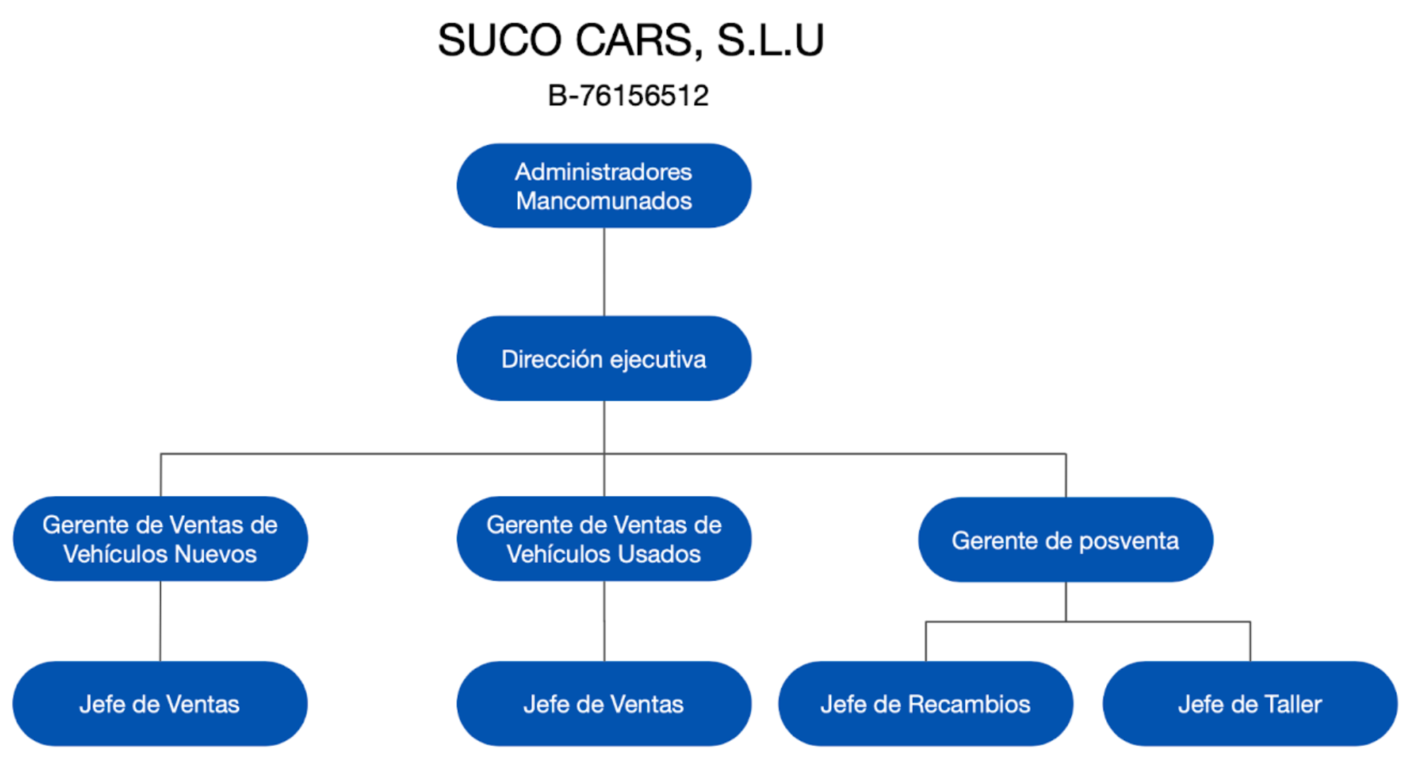 Organigrama DAG SUCO CARS